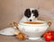 Puppy and soup