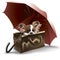 Puppy, umbrella, valise.