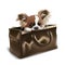 Puppy in valise