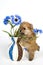 Puppy with a vase