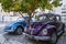 A puprle and a blue beautifully maintained chrome painted classic Volkswagen Beatle cars parked in a street park under a tree