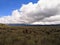 Purace National Natural Park in Colombia with a paramo ecosystem