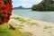 Purangi, Cooks Beach, Whitianga, Coromandel, New Zealand