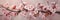 Pure Beauty: A Page of Pink Cherry Blossoms on a White Branch, C