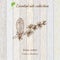 Pure essential oil collection, atlas cedar. Wooden texture background