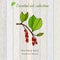 Pure essential oil collection, five-flavor berry. Wooden texture background