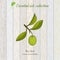 Pure essential oil collection, lime. Wooden texture background