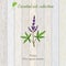 Pure essential oil collection, vitex. Wooden texture background