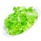 Pure green salad