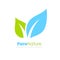 Pure nature leaf vector logo