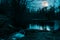 Pure romance in the forest on a lake under a full moon. In the front is a waterfall.