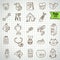 Pure series | Hand drawn pet animals and objects icon set