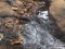 Pure spring water flows along the stone slope. a small mountain stream. Wet shiny stones close-up.