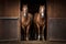 Purebred anglo-arabian chestnut horses standing at the barn door, AI generated