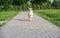 Purebred australian shepherd dog for a walk in the park