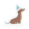 Purebred brown dachshund dog in a blue Santa hat vector Illustration on a white background