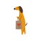 Purebred Brown Dachshund Dog with Shopping Bag, Funny Playful Pet Animal Cartoon Character Vector Illustration