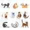 Purebred cats, playful pets vector illustrations set