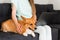 Purebred Corgi dog sits on the hands of the owner. Typing text on laptop and holding lovely Welsh Corgi Pembroke in