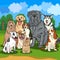 Purebred dogs cartoon illustration