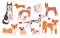 Purebred dogs set, collection of cute happy dogs of different breeds, group of pets