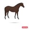 Purebred horse color flat icon
