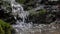 Purest mountain creek in the forest. Stream of water moves between the stones covered with moss. Idyllic green scenery