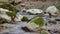 Purest mountain creek in the forest. Stream of water moves between the stones covered with moss. Small river with rocks