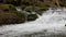 Purest mountain creek in the forest. Stream of water moves between the stones covered with moss. Small river with rocks