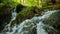 Purest mountain river in the forest. Stream of