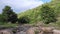 Purest mountain river in the forest. Stream of water moves between the stones covered with moss