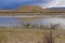 Purging a Desert Lake From Invasive Species