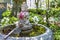 Purification fountain in Daisho-in temple in Itsukushima island, Japan