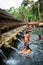 Purification in sacred holy spring water, Bali