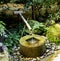 Purification water fountain at RyÅan-ji temple