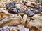 Purim jewish holiday cookies backed Hamentashen Ozen Haman