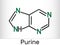 Purine molecule, is a heterocyclic aromatic organic compound. Skeletal chemical formula