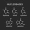 Purine and pyrimidine nucleobases