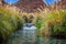 Puritama hot springs near San Pedro d` Atacama, Chile