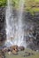 Purling Brook falls, Springbrook National Park