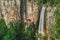 Purlingbrook Falls in Springbrook