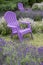 Purple Adirondack Chairs in a Lavender Field #2