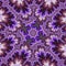 Purple Ambrosia fractal with swirls and stars