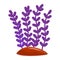 Purple aquarium plant icon, cartoon style
