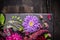 Purple aster flower in autumn scenery on dark table