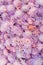 Purple asters background