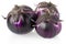 Purple aubergines group