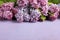 Purple background with lilac, selective focus. spring floral backdrop