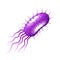 Purple bacteria on white vector