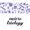 Purple bacterias. Micro biology hand lettering.